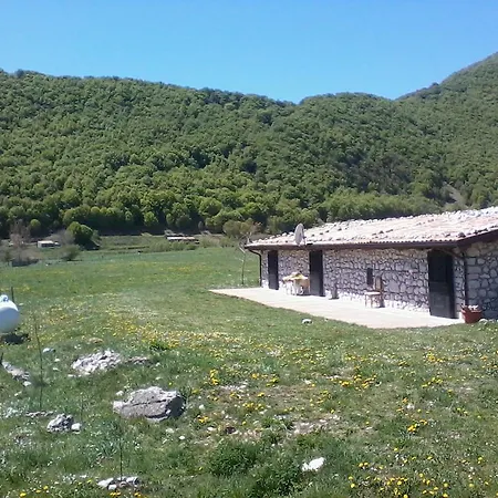 Vista