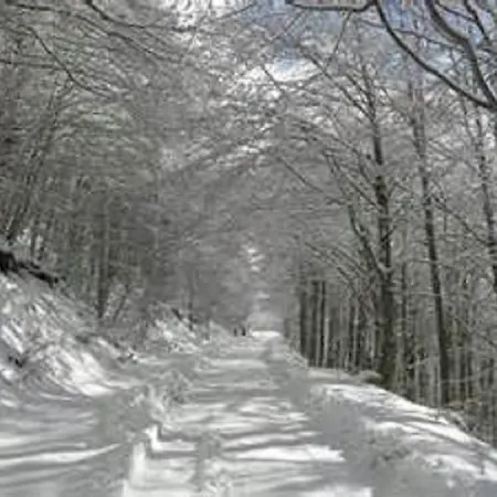 Affittacamere Vista San Gregorio (Campania)