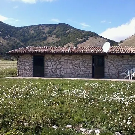 Vista